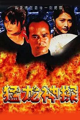 猛龙神探1998(全集)