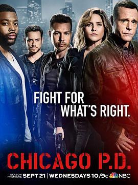 芝加哥警署第四季 第17集